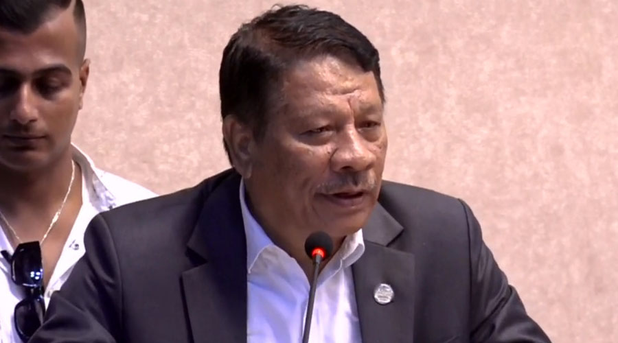 कार्यवाहक प्रधानमन्त्रीको जिम्मेवारी प्रकाशमान सिंहलाई